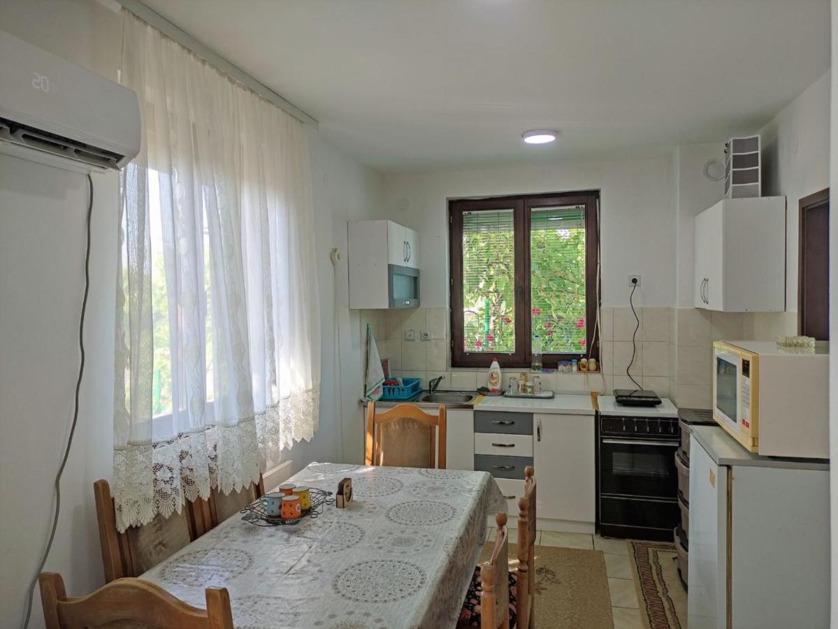 Cozy House Cvetkovic Villa Ni Eksteriør billede